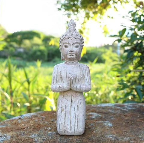 Statua di preghiera di Buddha in resina 21 cm